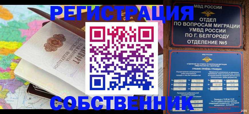 временная регистрация гарантия в Михайлове